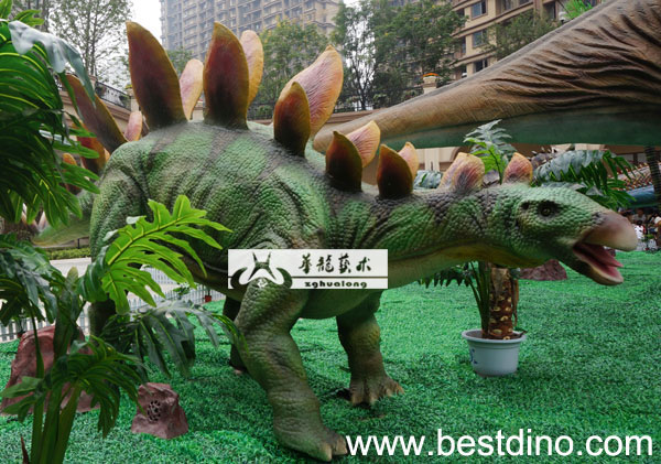 Herbivorous stegosaurus