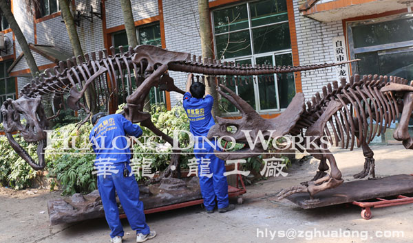 华龙艺术超逼真仿真恐龙骨架