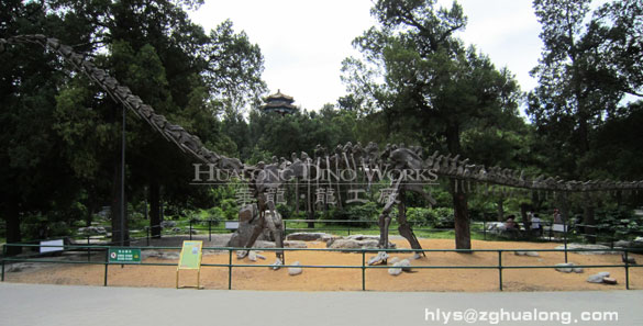 华龙艺术户外大型仿真川府峨眉龙骨架摆件