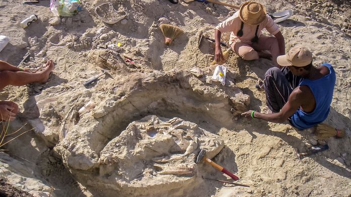 Animatronic dinosaur