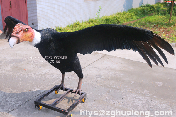 华龙艺术高品仿真鸟类机模