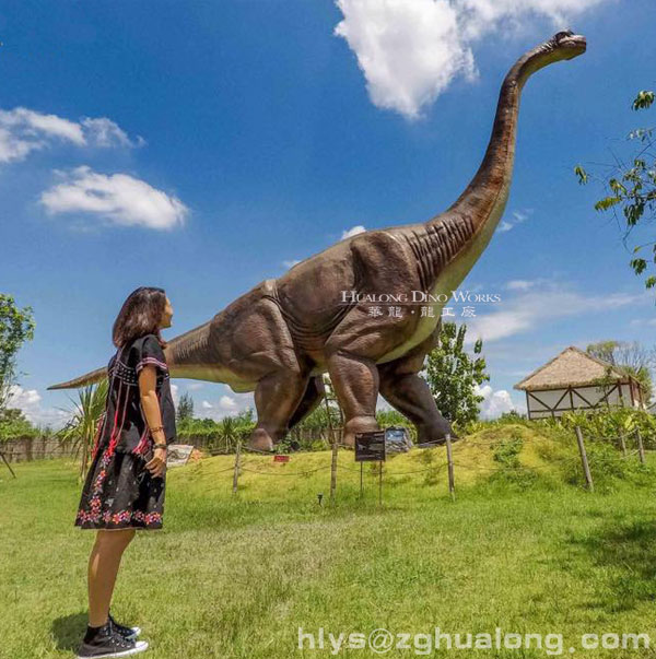 华龙恐龙高仿大型腕龙摆件 华龙恐龙高仿大型腕龙摆件