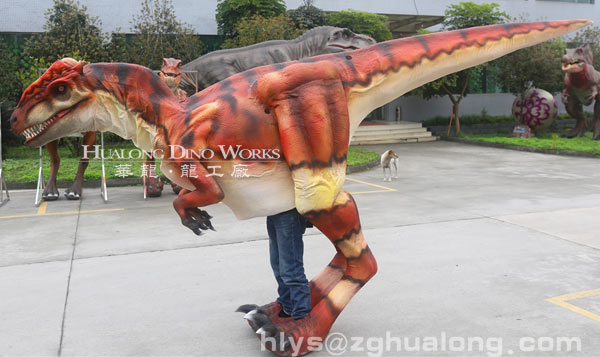 华龙艺术仿真双冠龙表演衣服