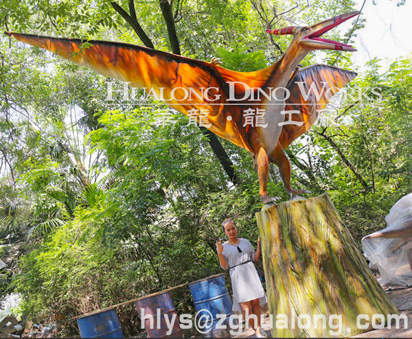 华龙艺术博物馆展 游乐场 户外大型仿真翼龙模型6M