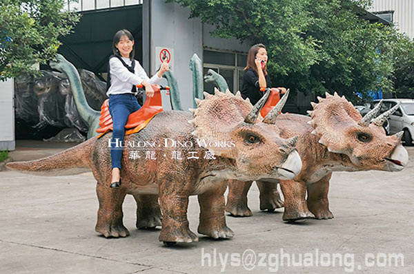 华龙艺术户外景区仿真行走三角龙模型4M