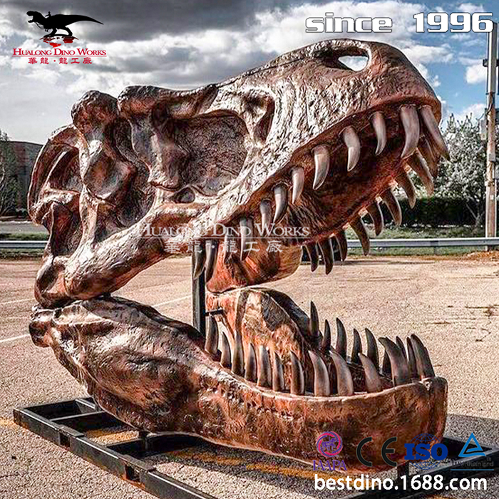 华龙科技 考古挖掘现场恐龙化石骨架